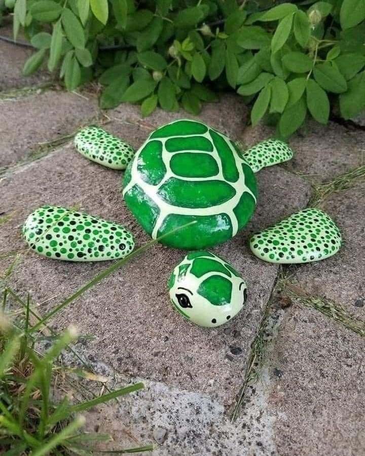 Turtle Painted Rocks