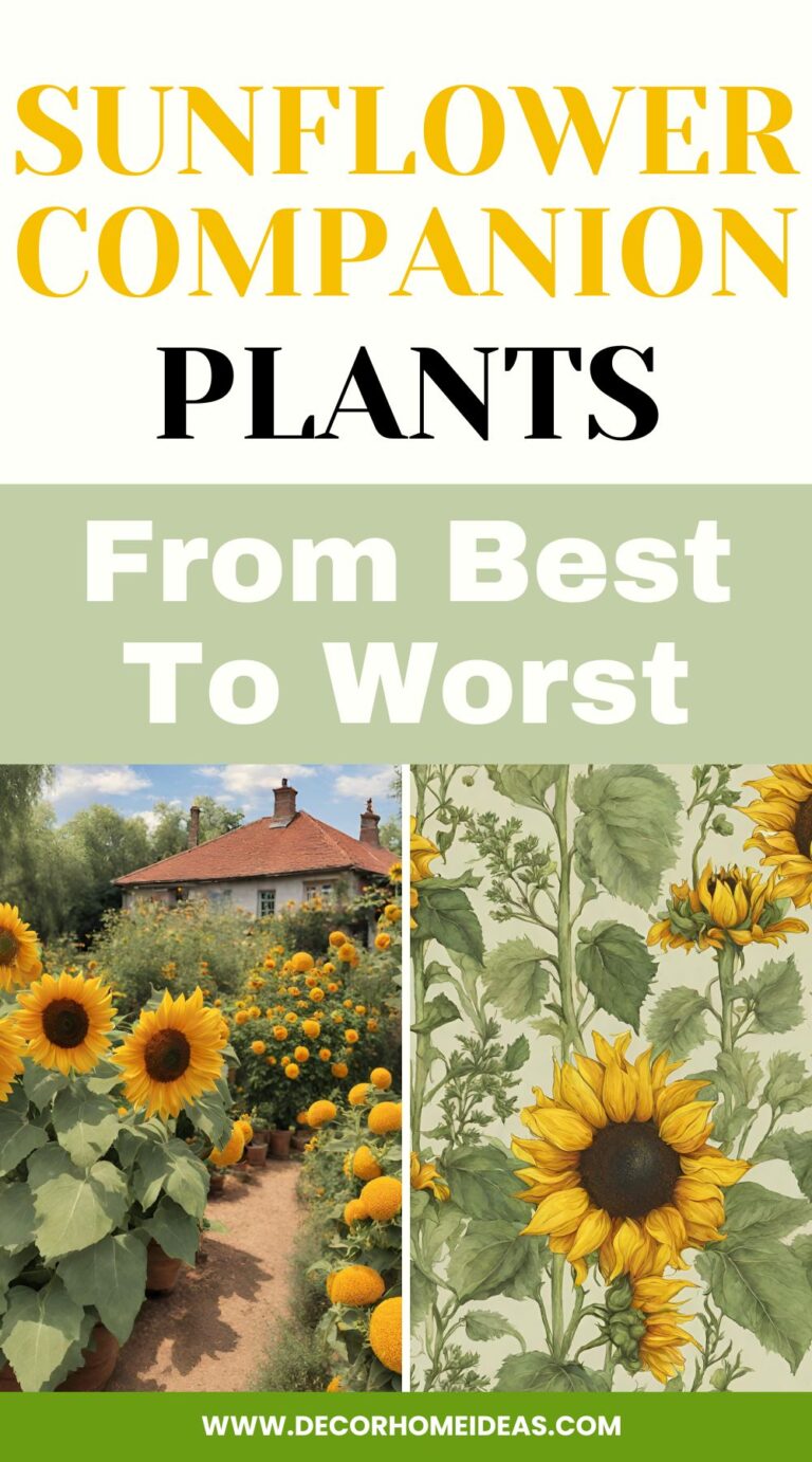Gardening Secrets Revealed The Top Plants to Pair with Sunflowers