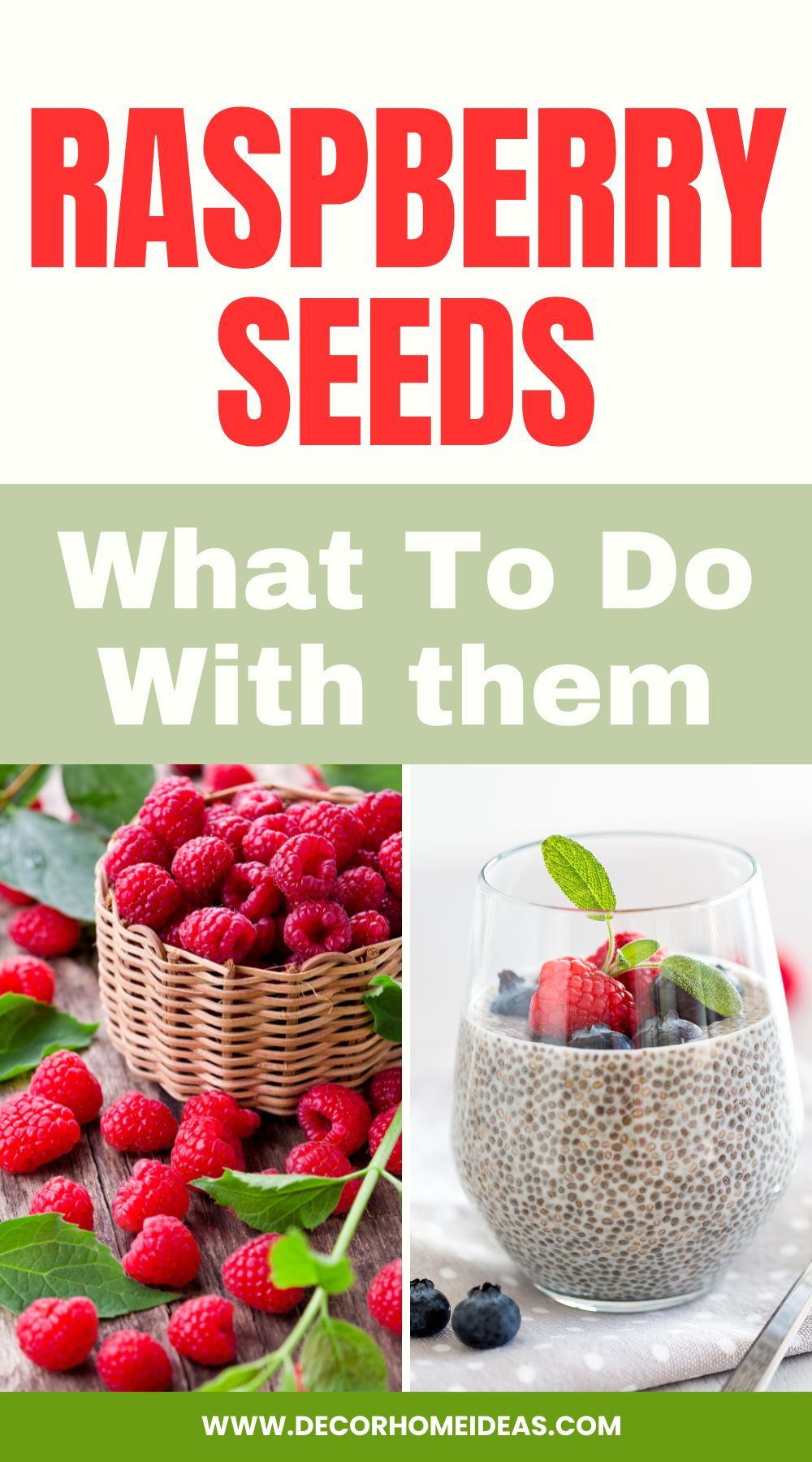Discover creative uses for raspberry seeds with this insightful guide. Learn how to make the most of these nutritious seeds in cooking, gardening, and skincare, adding a flavorful and beneficial twist to your daily routine.