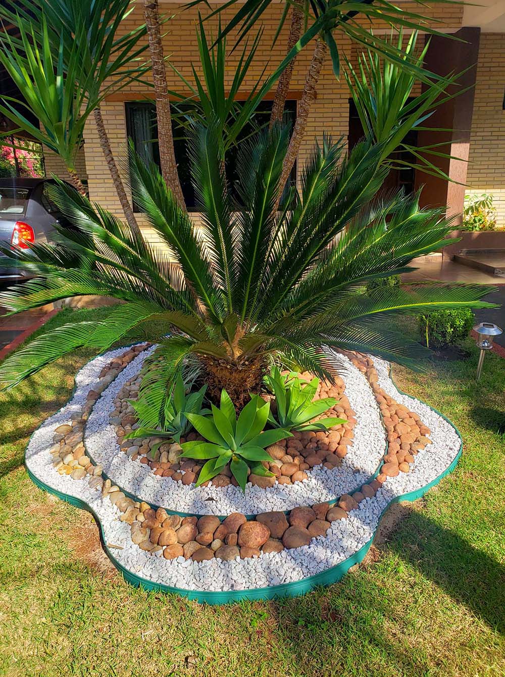 white pebbles around sago palm