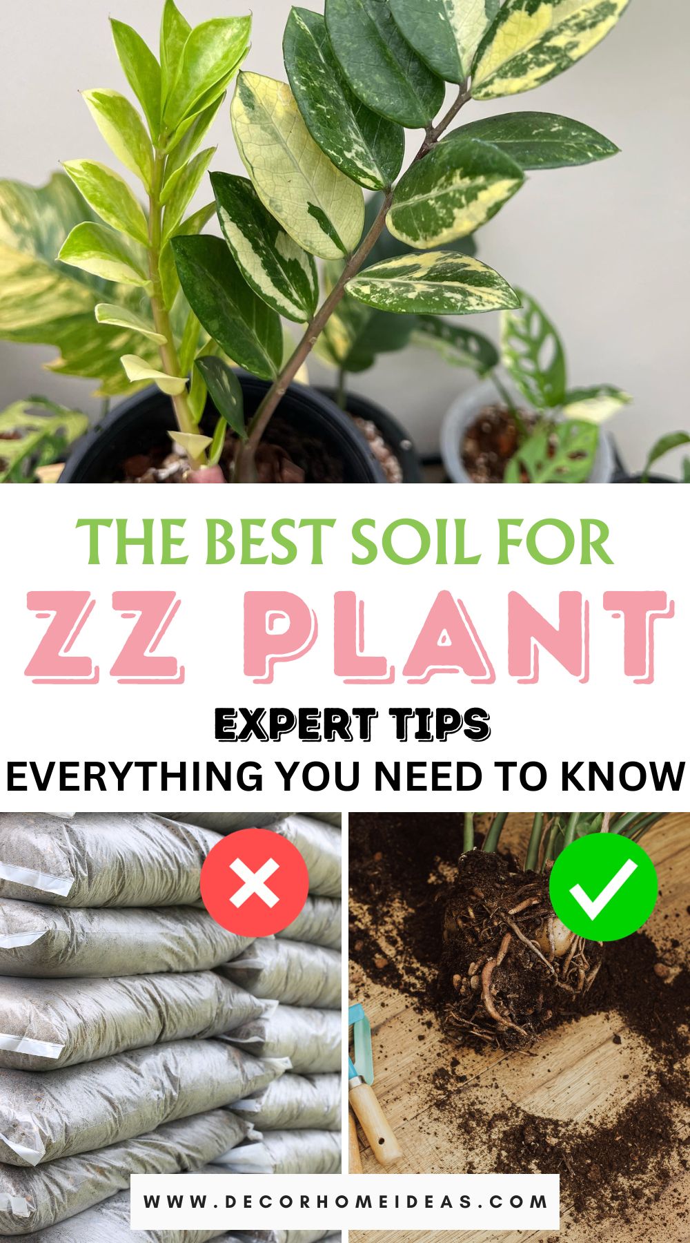 Get the scoop on choosing the ideal soil for your ZZ plant with our comprehensive guide. Explore everything you need to know about soil selection to ensure your ZZ plant thrives and flourishes in its indoor haven.