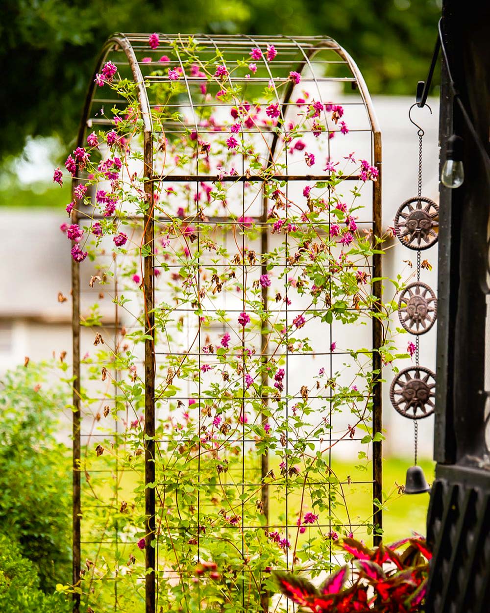 DIY garden trellis 1