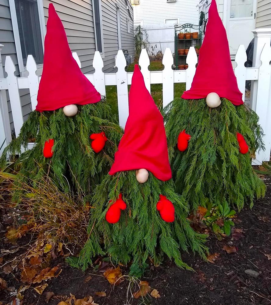 Christmas Gnomes Sprouting From Trees