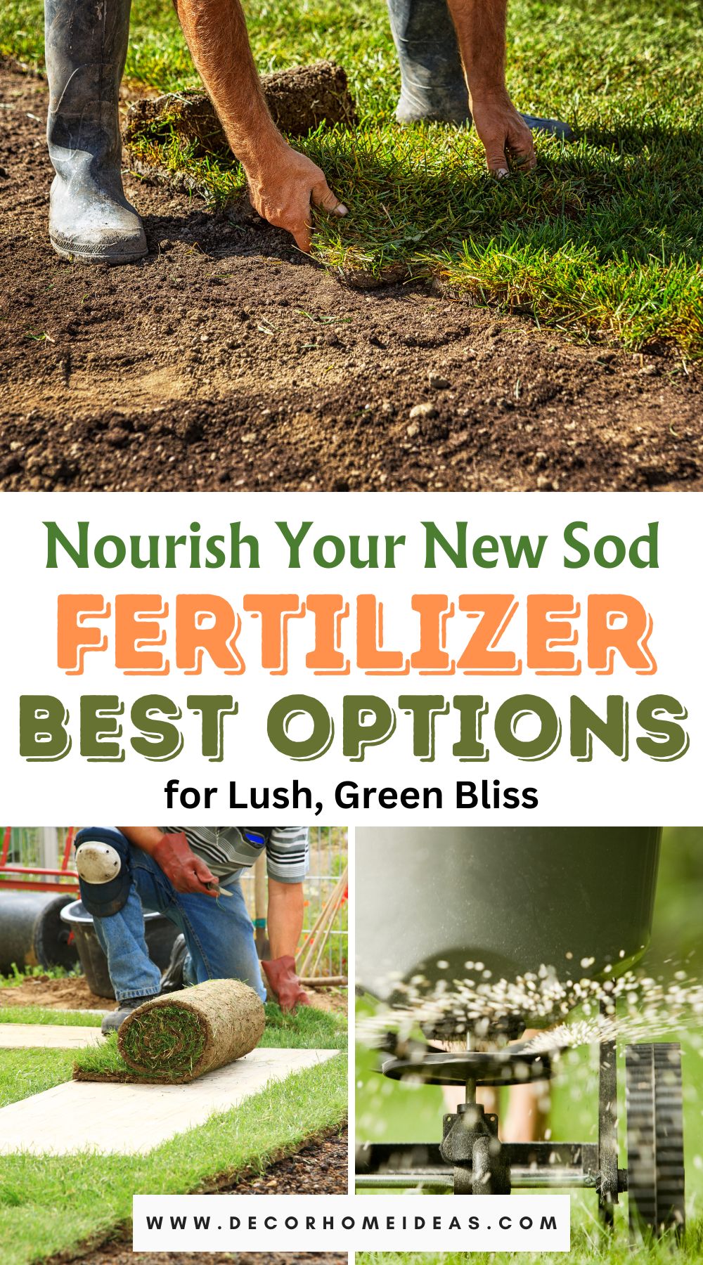 Embarking on a lush journey with new sod? Explore the best fertilizer options to nurture and establish a vibrant lawn. Discover top recommendations to ensure your sod gets the nutrients it needs for healthy growth and lasting green beauty.
