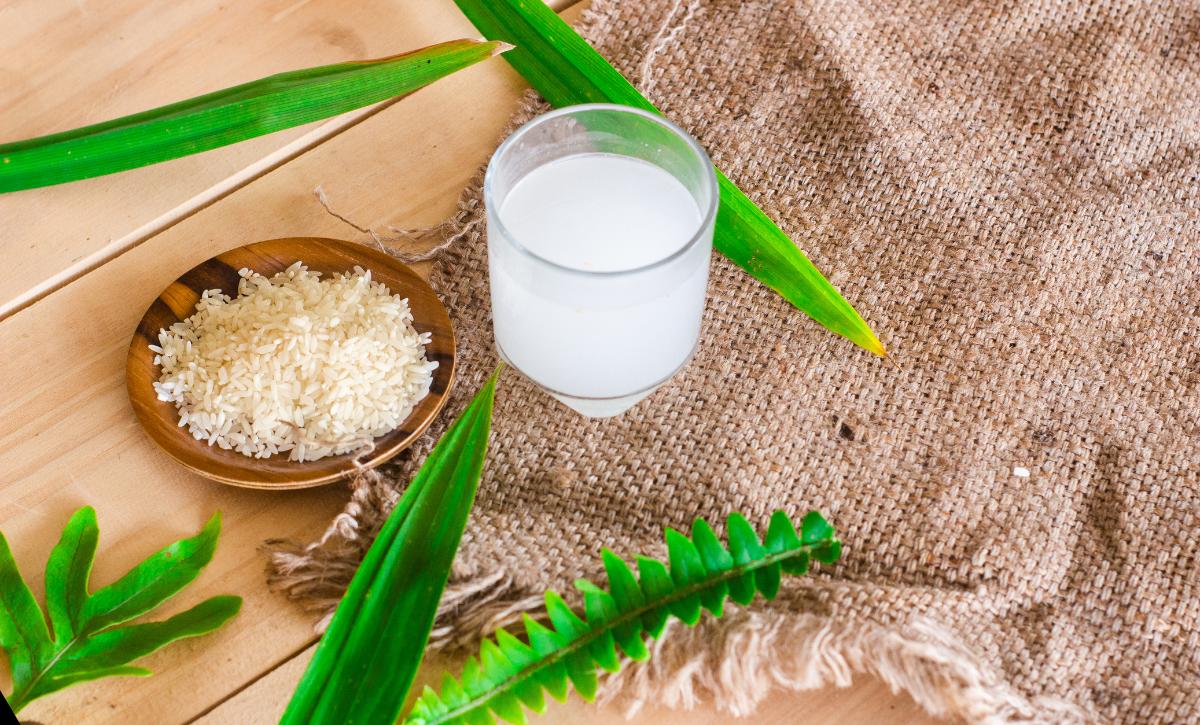 Rice Water For Plants