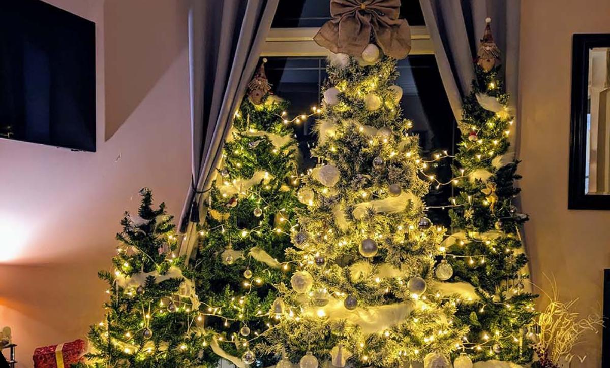 Top 2023 Christmas Tree Ideas