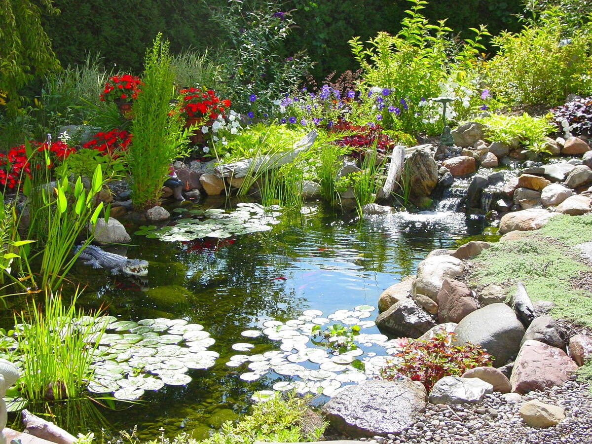 backyard pond ideas 16