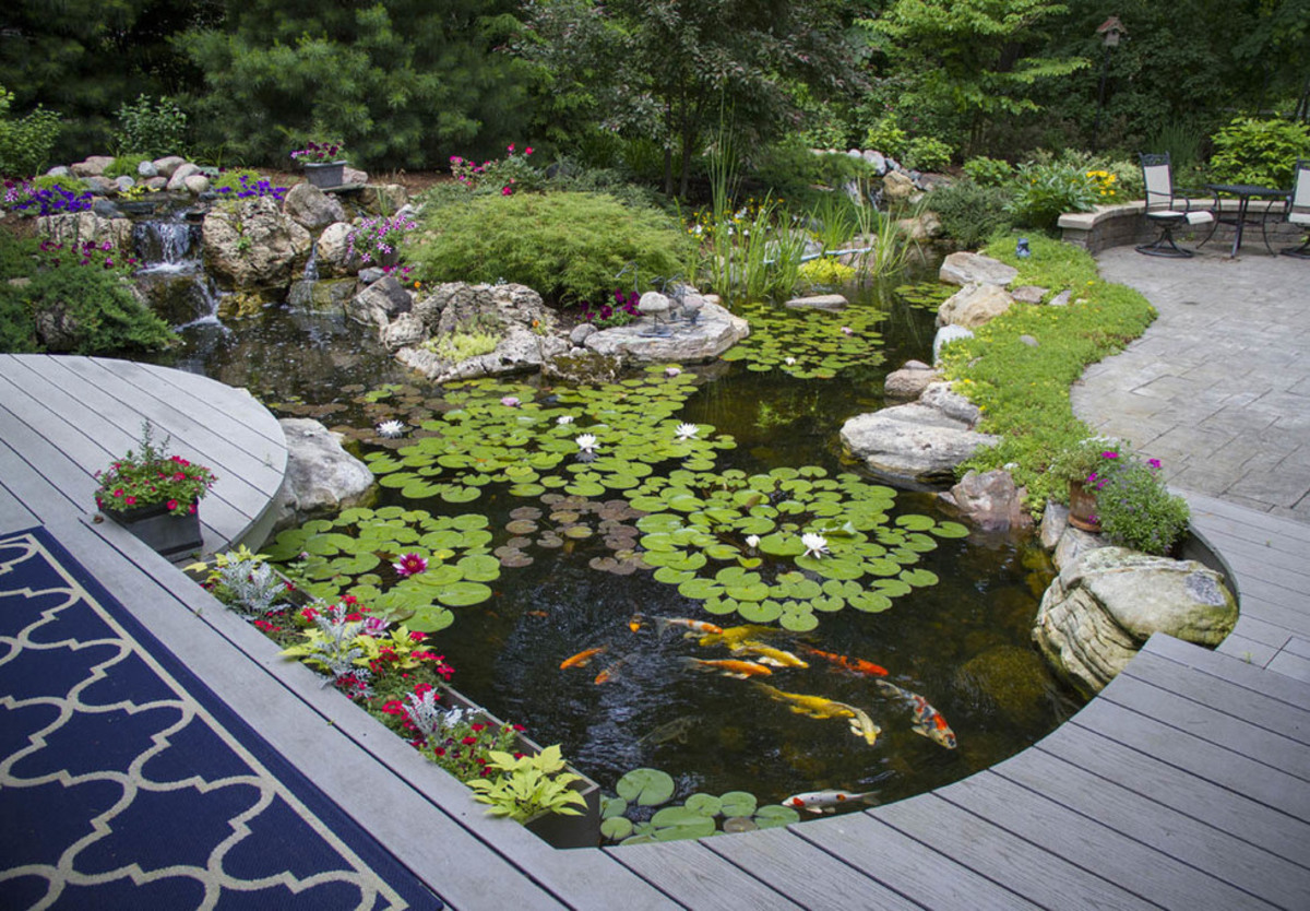 backyard pond ideas 20