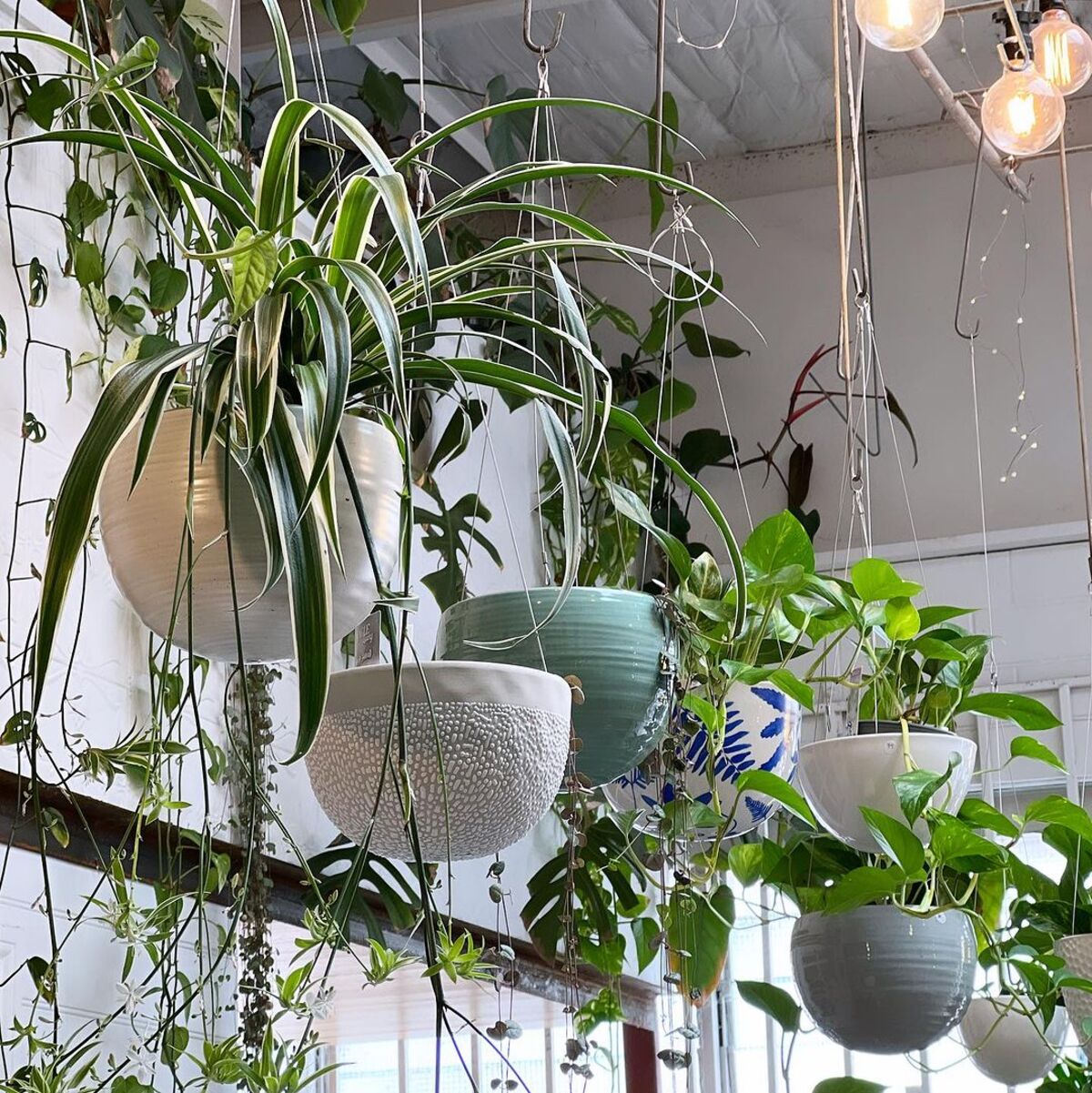 hanging garden 1