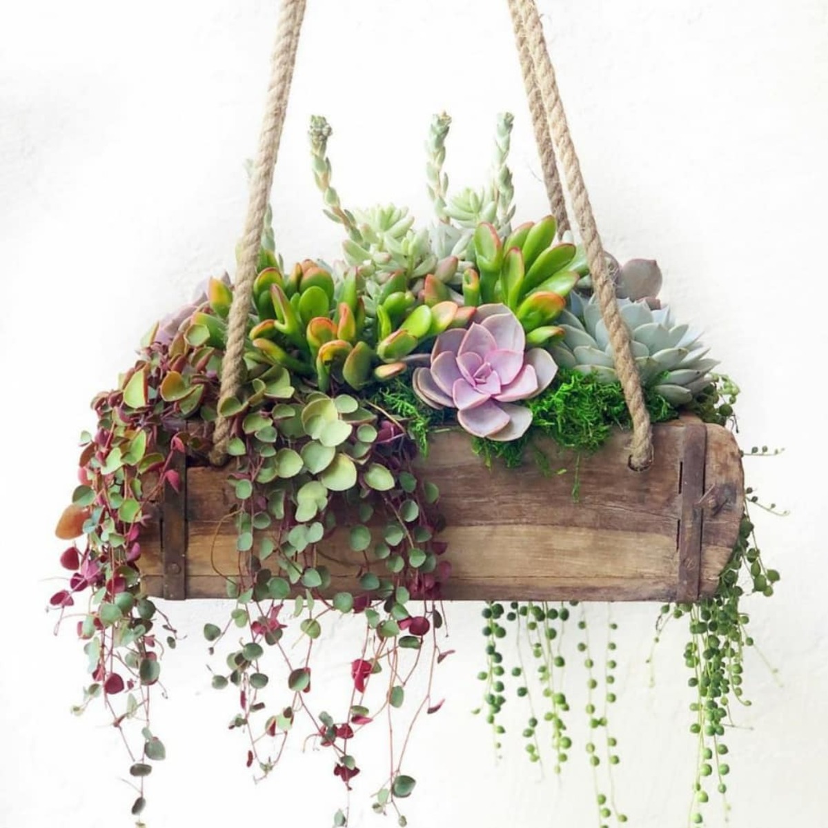 hanging garden 8