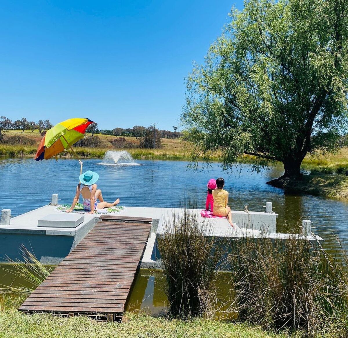 natural swimming ponds 12