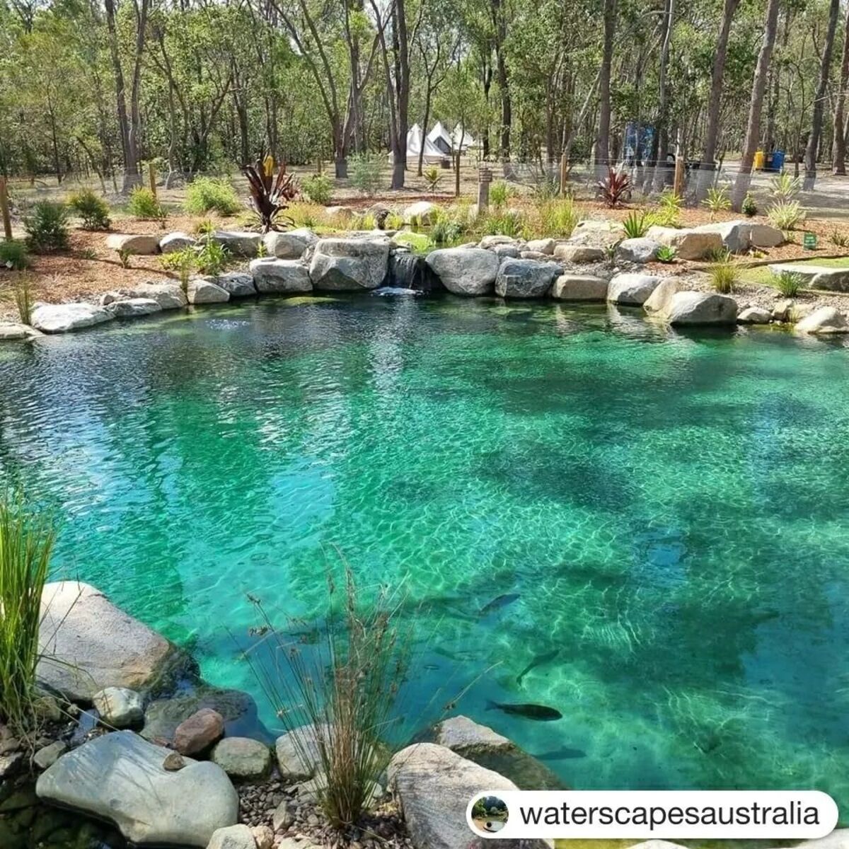 natural swimming ponds 16