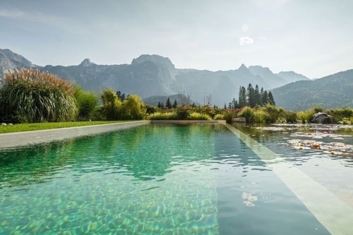 natural swimming ponds 18