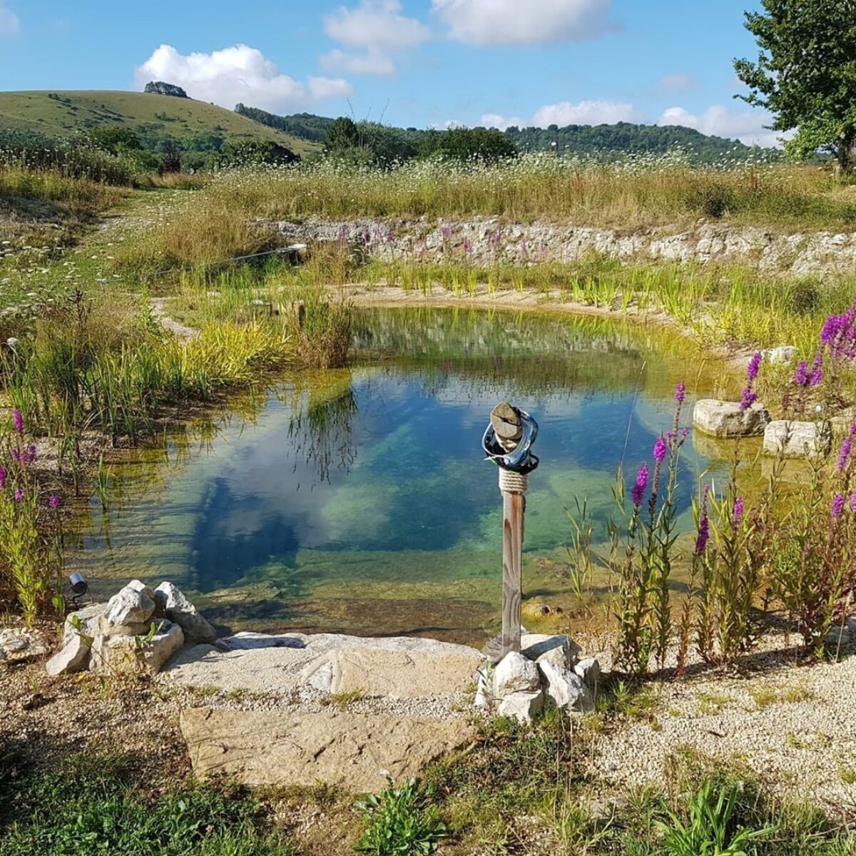 natural swimming ponds 20