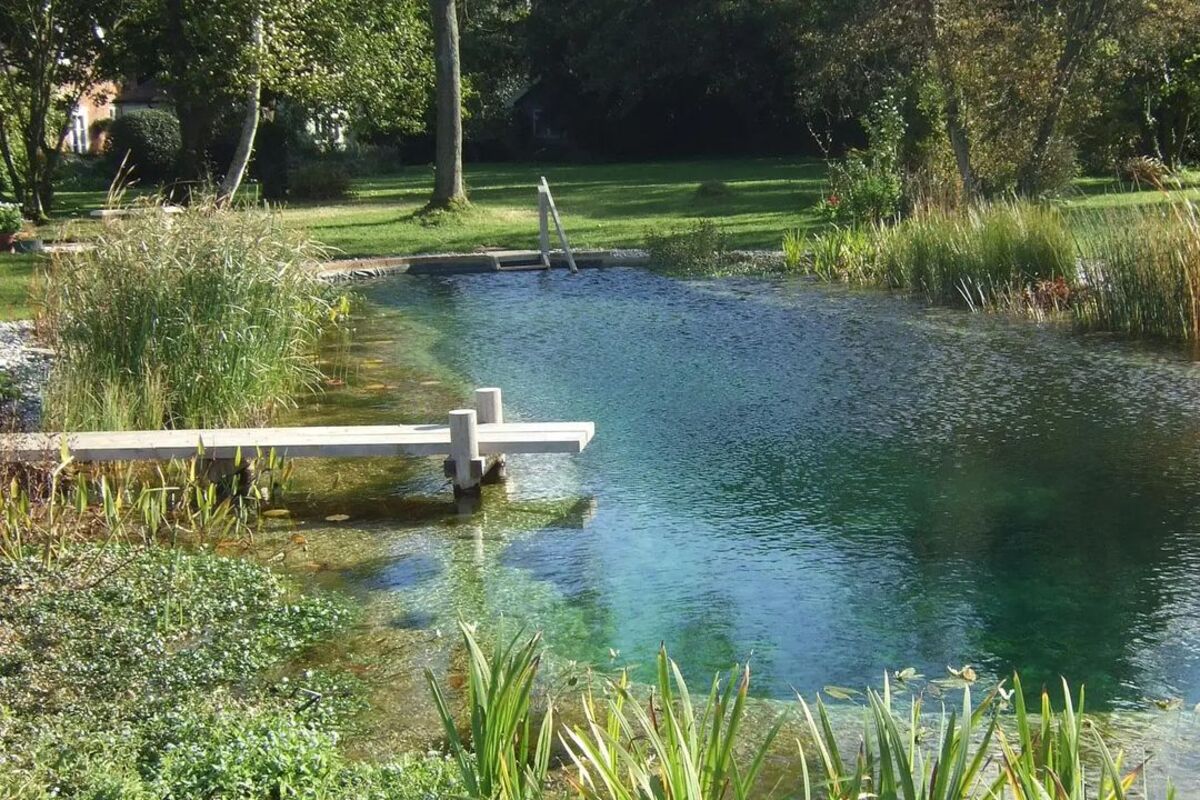 natural swimming ponds 3