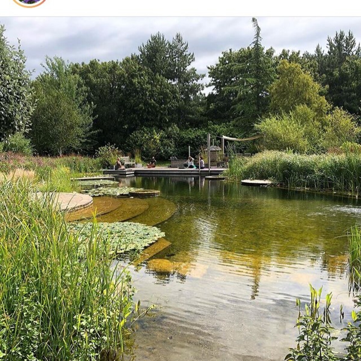 natural swimming ponds 4