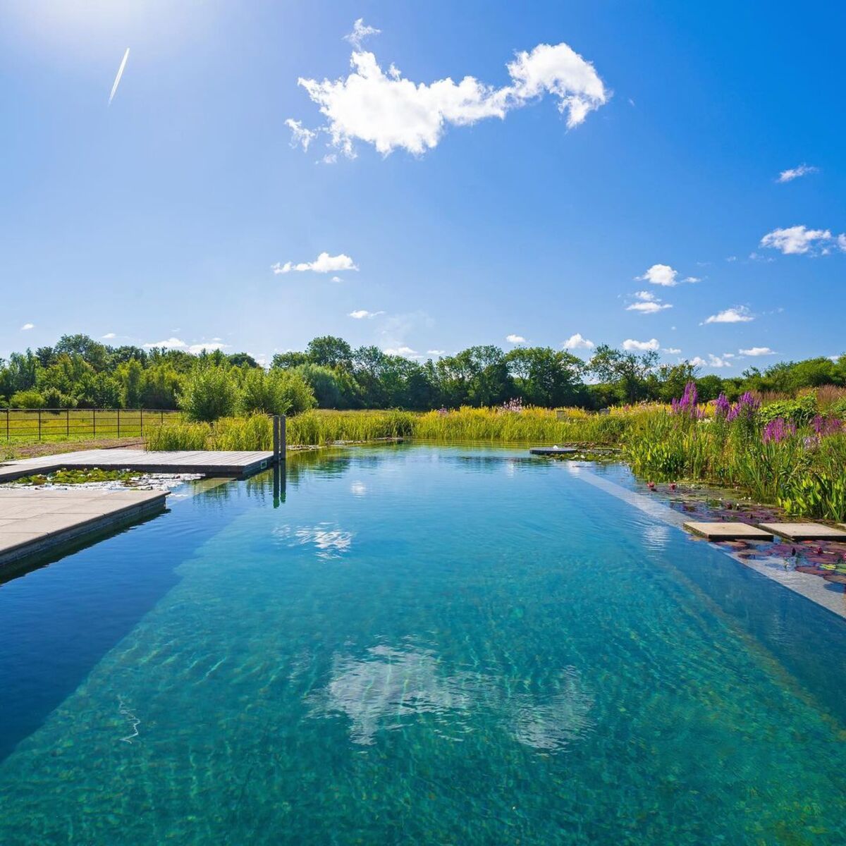 natural swimming ponds 5