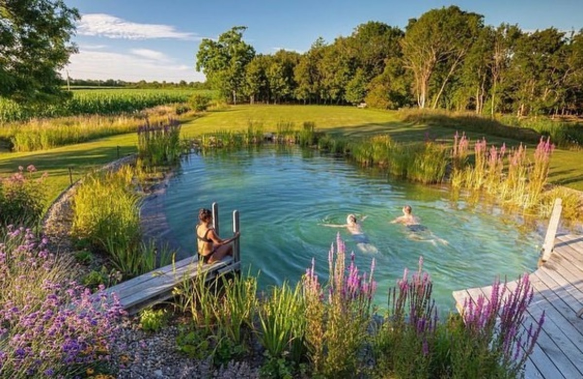 natural swimming ponds 7