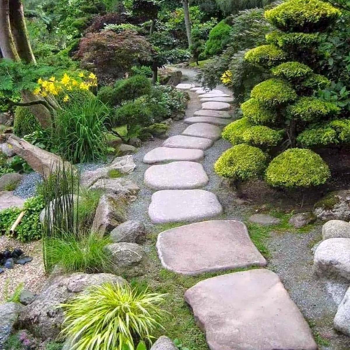 rock garden ideas 1