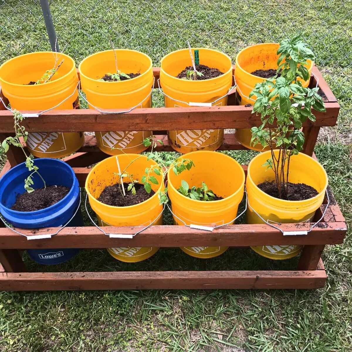 12 bucket garden ideas 10