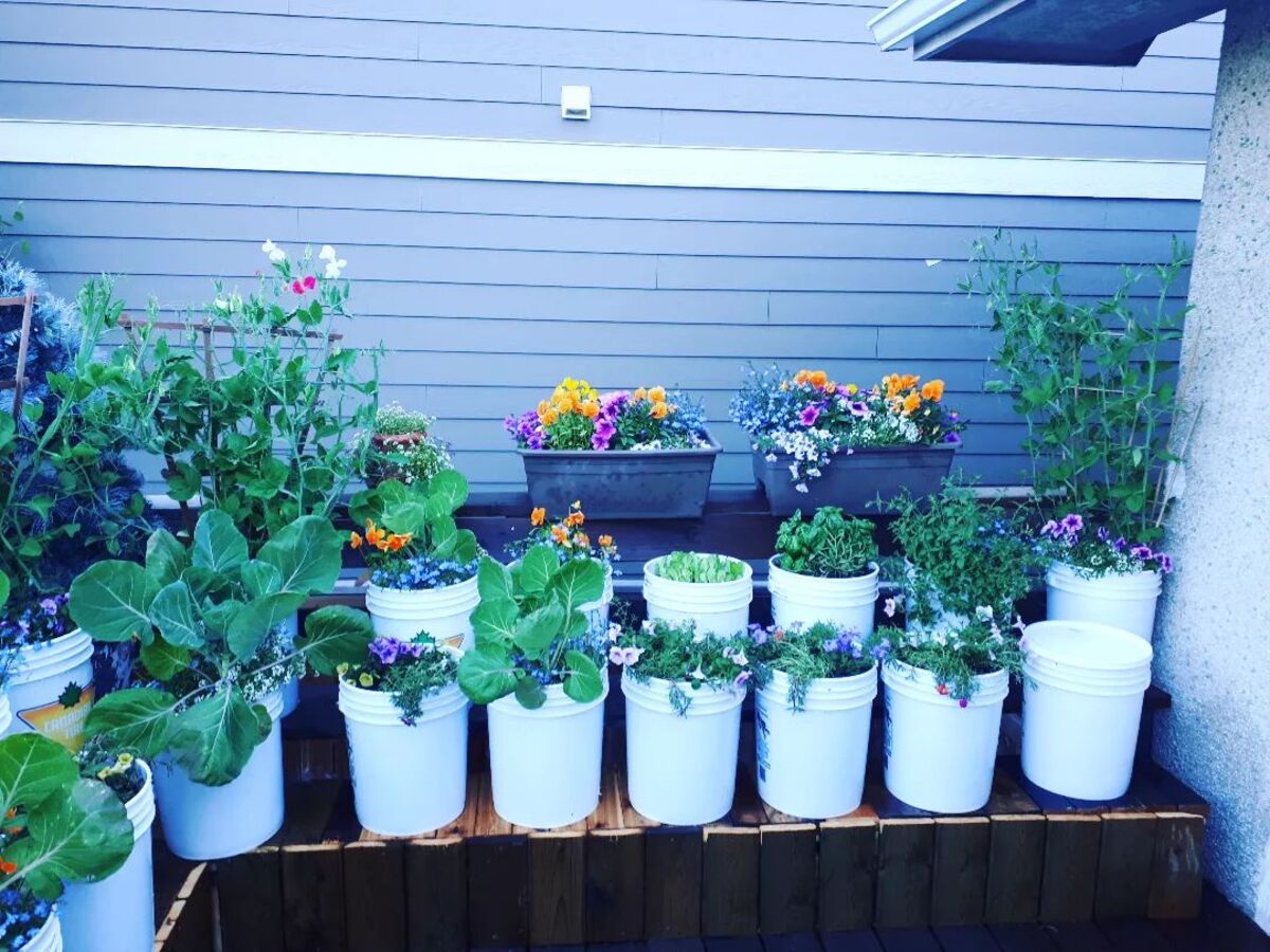 12 bucket garden ideas 2