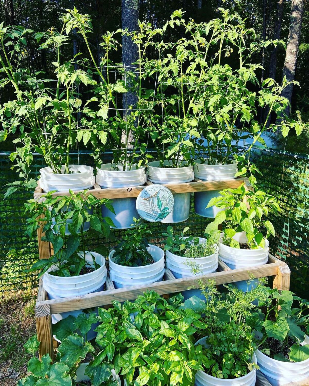 12 bucket garden ideas 3