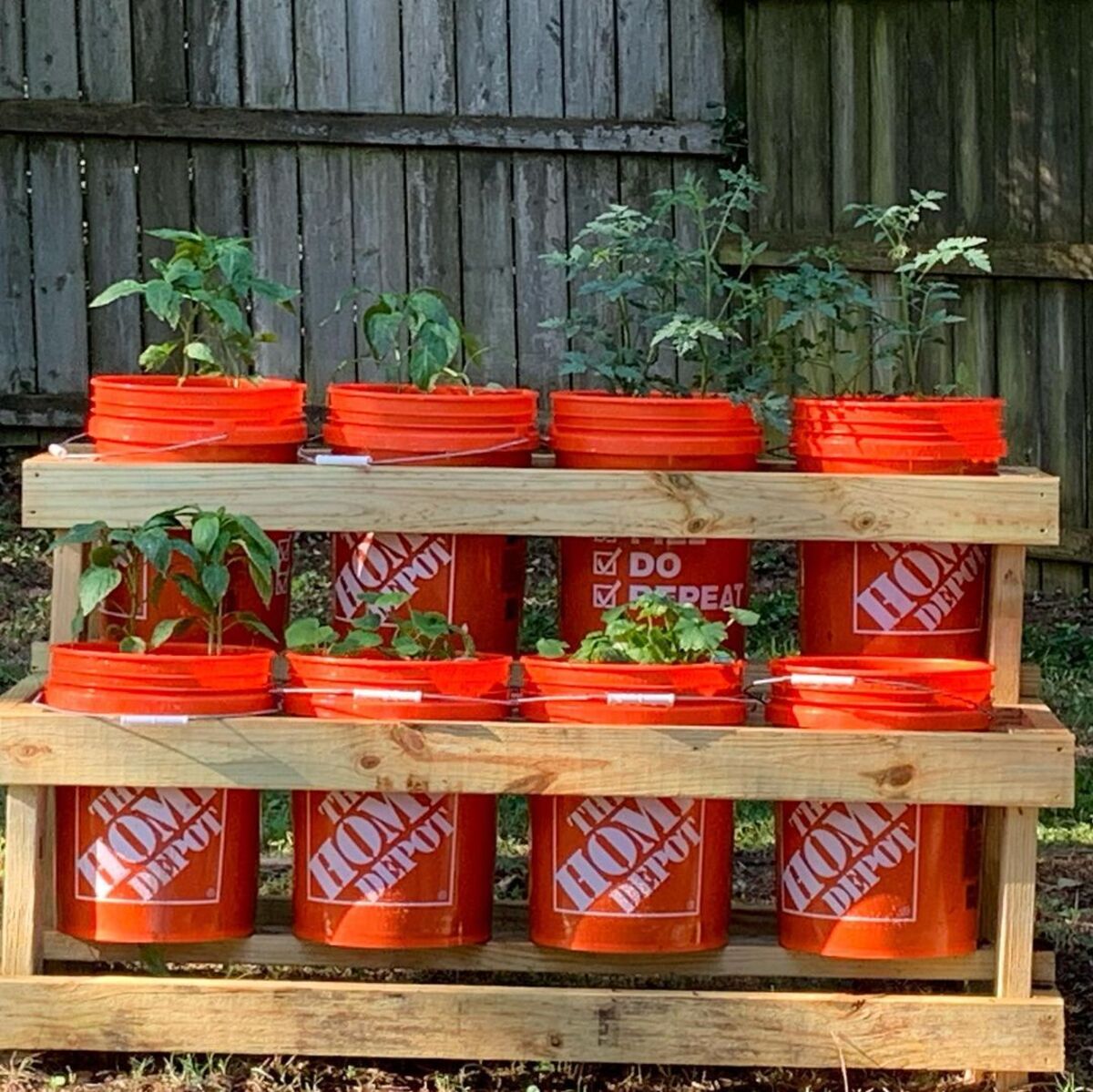 12 bucket garden ideas 4