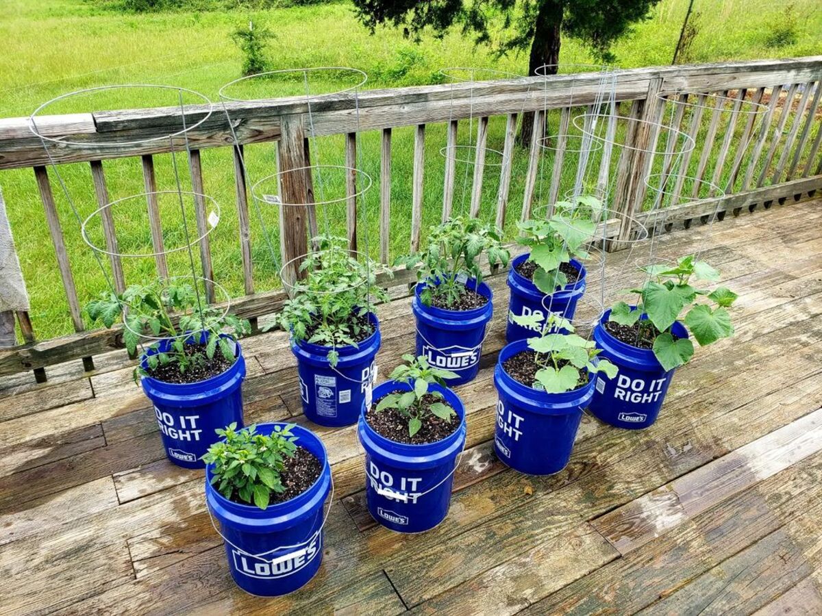 12 bucket garden ideas 7