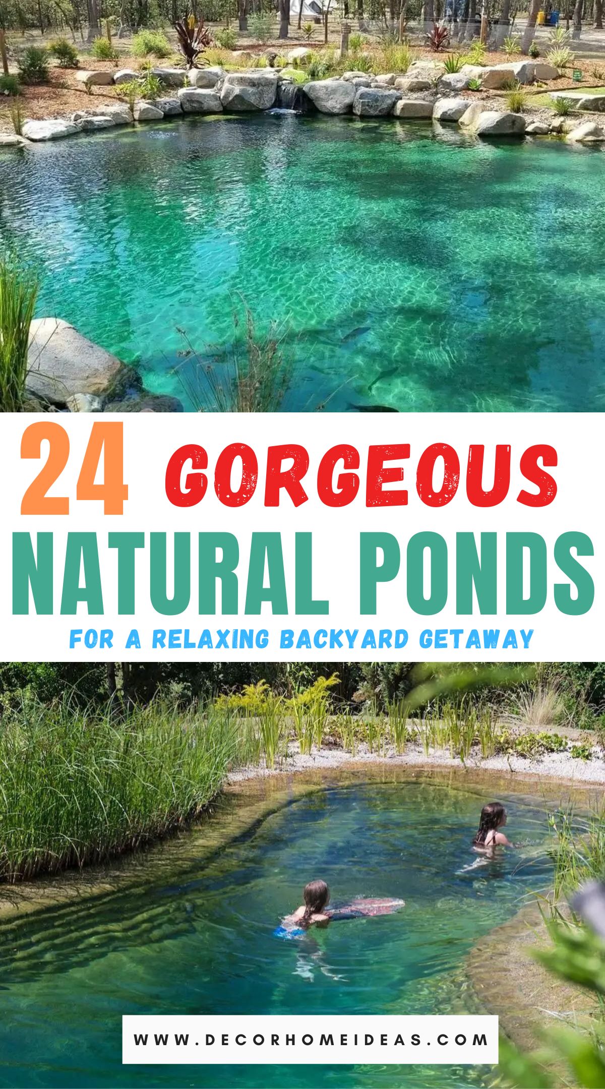 Best Natural Swimming Ponds Ideas