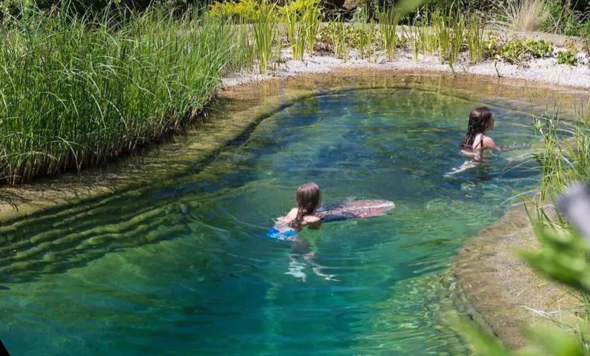 Natural Swimming Ponds