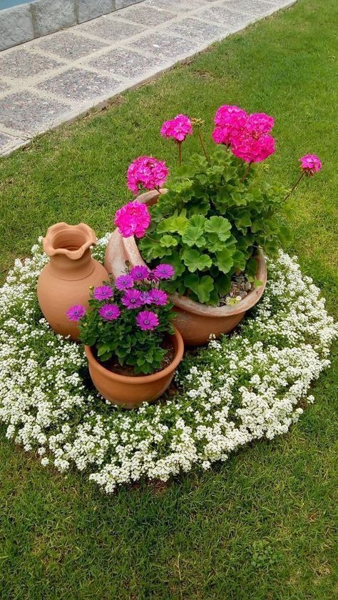 small garden with blossom flowers