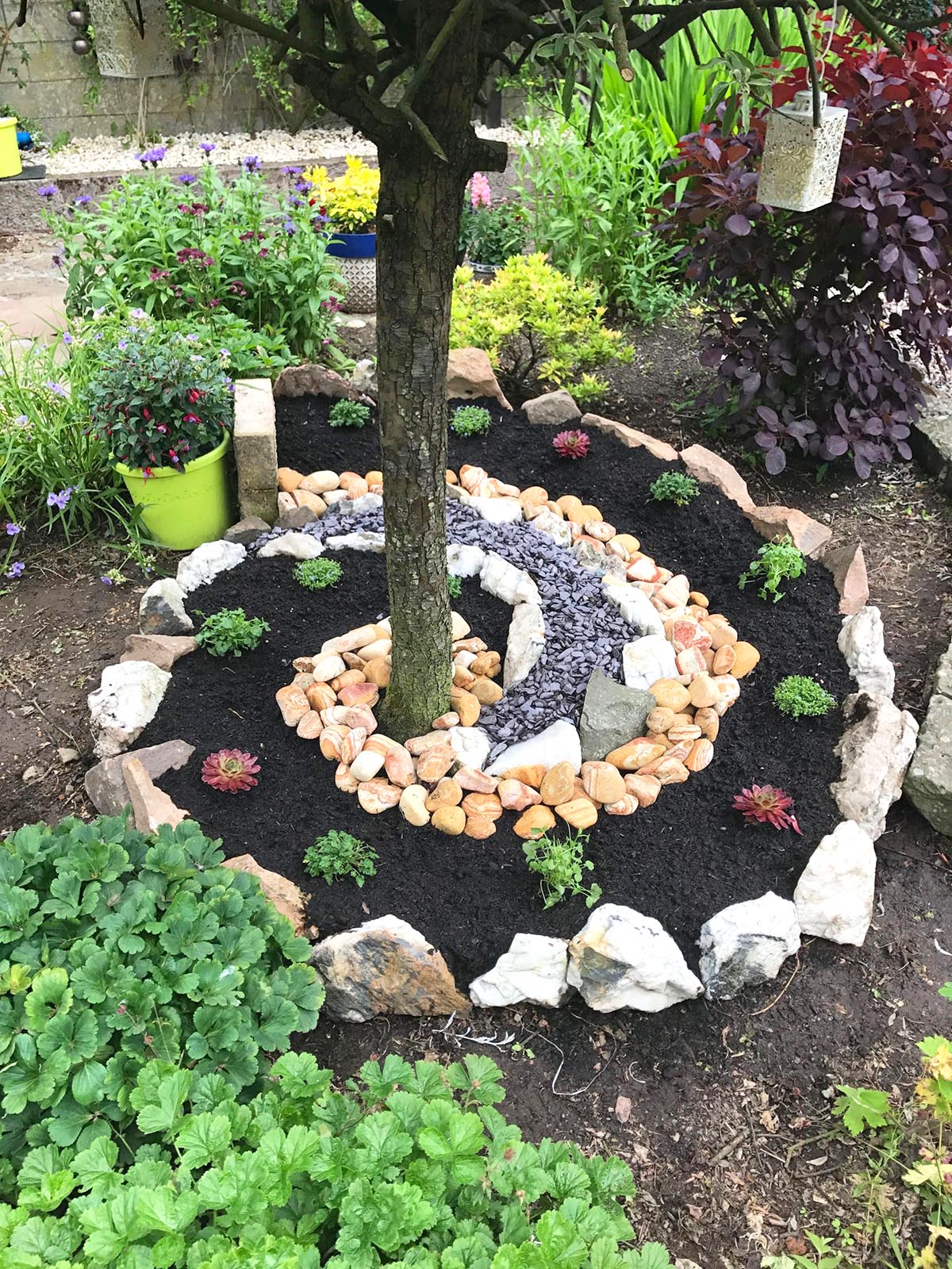 spiral flower bed around tree