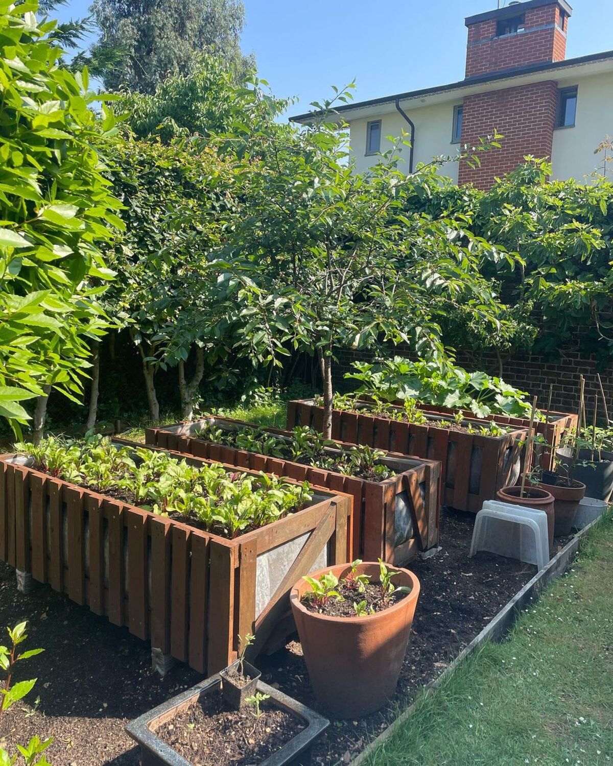 15 raised flower beds along fence 1