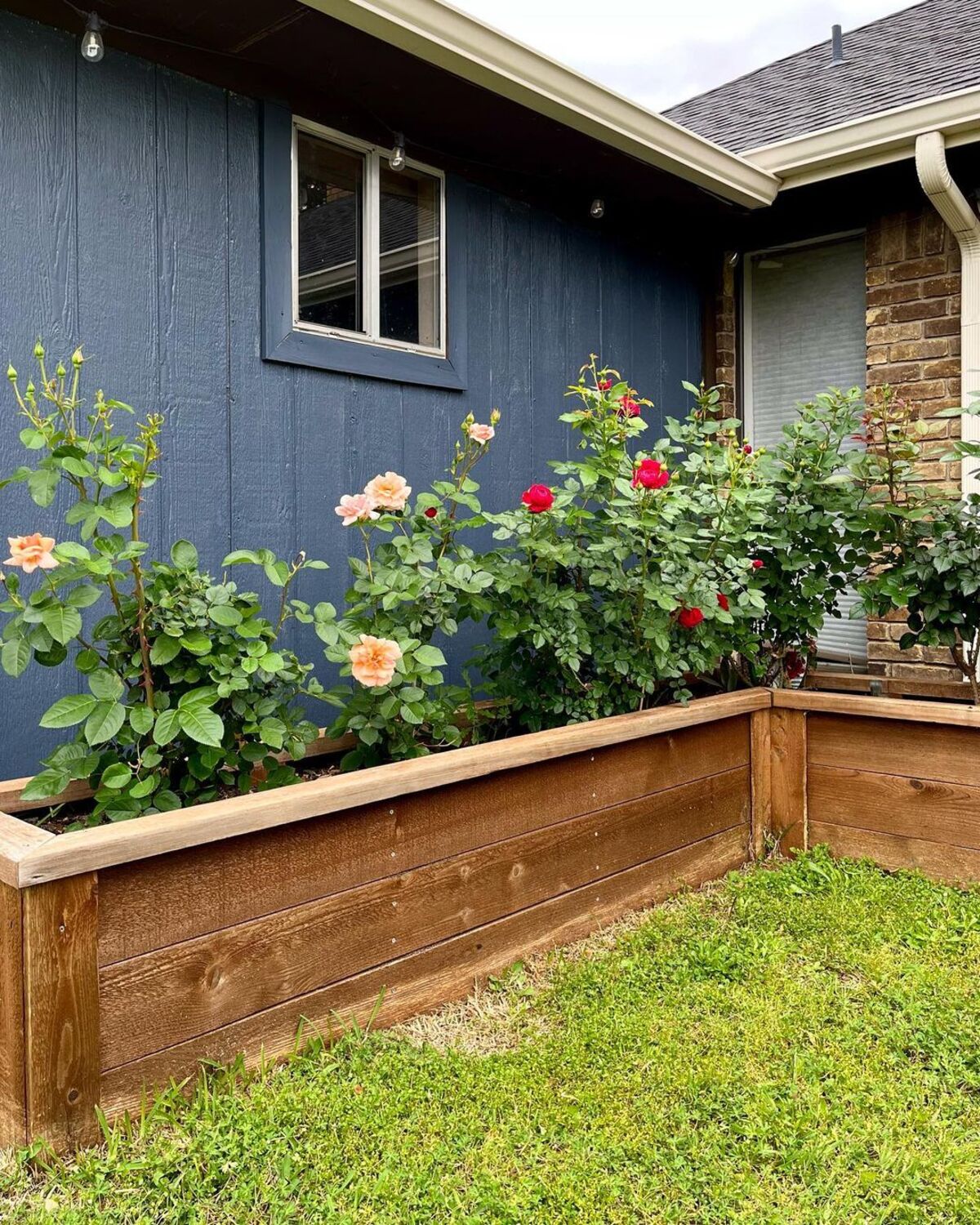 15 raised flower beds along fence 3