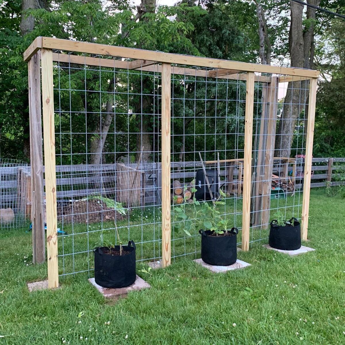 18 diy trellis ideas 15