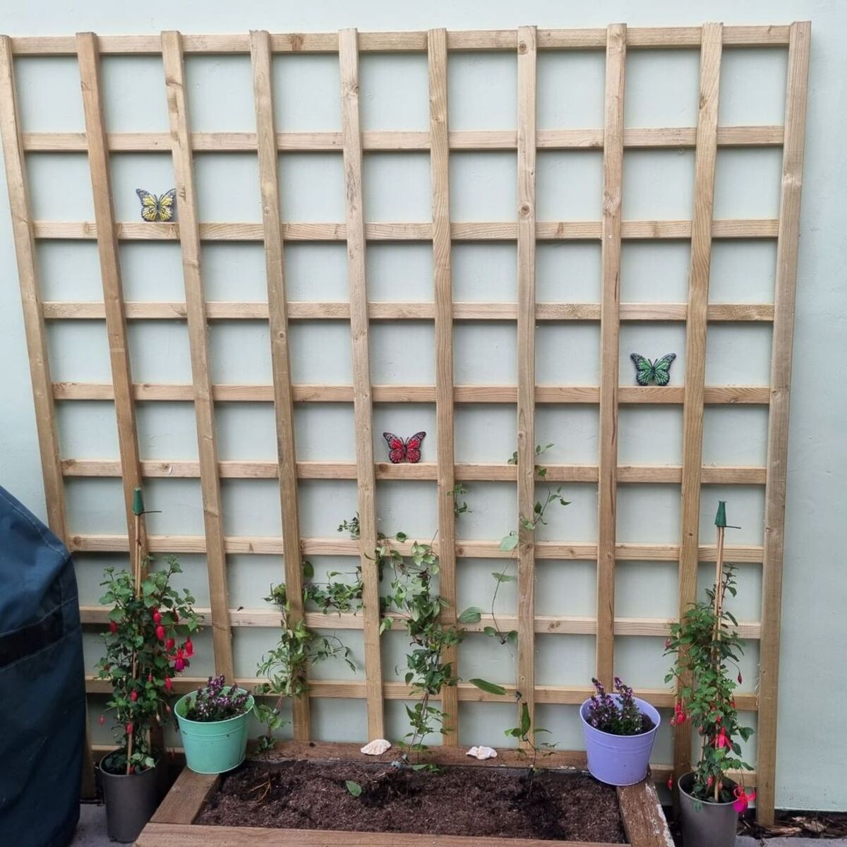 18 diy trellis ideas 16