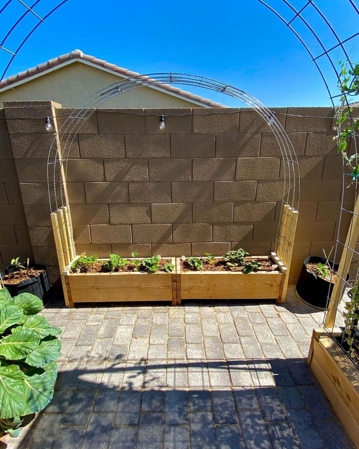 18 diy trellis ideas 5