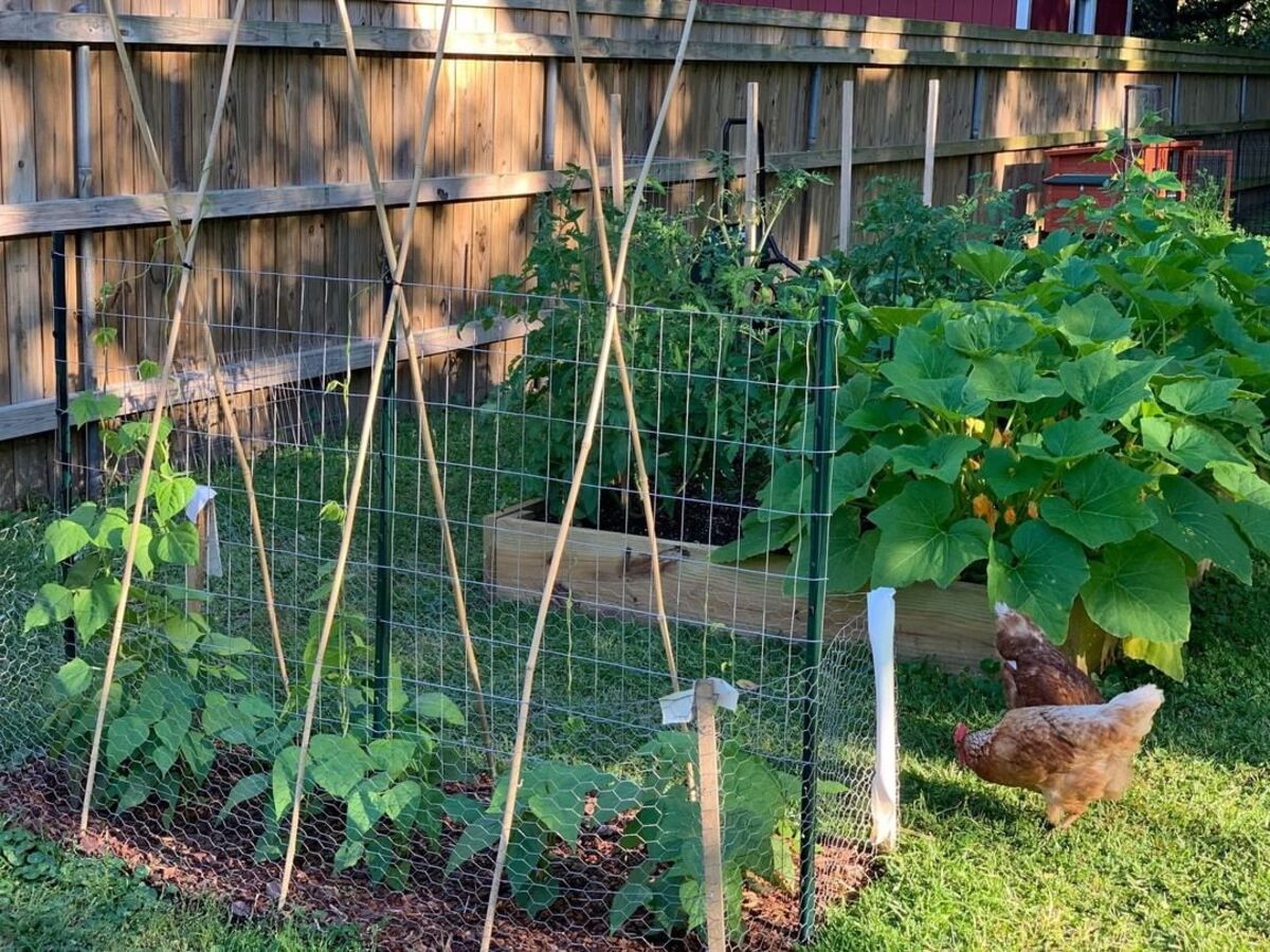 18 diy trellis ideas 6