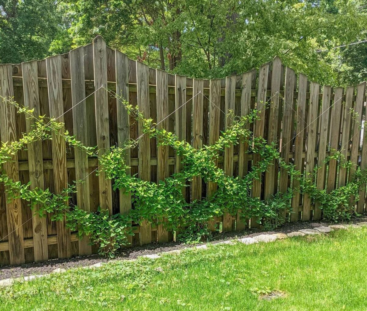 18 diy trellis ideas 9