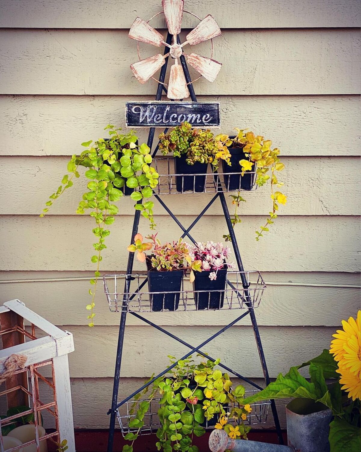 24 dollar tree garden ideas 6