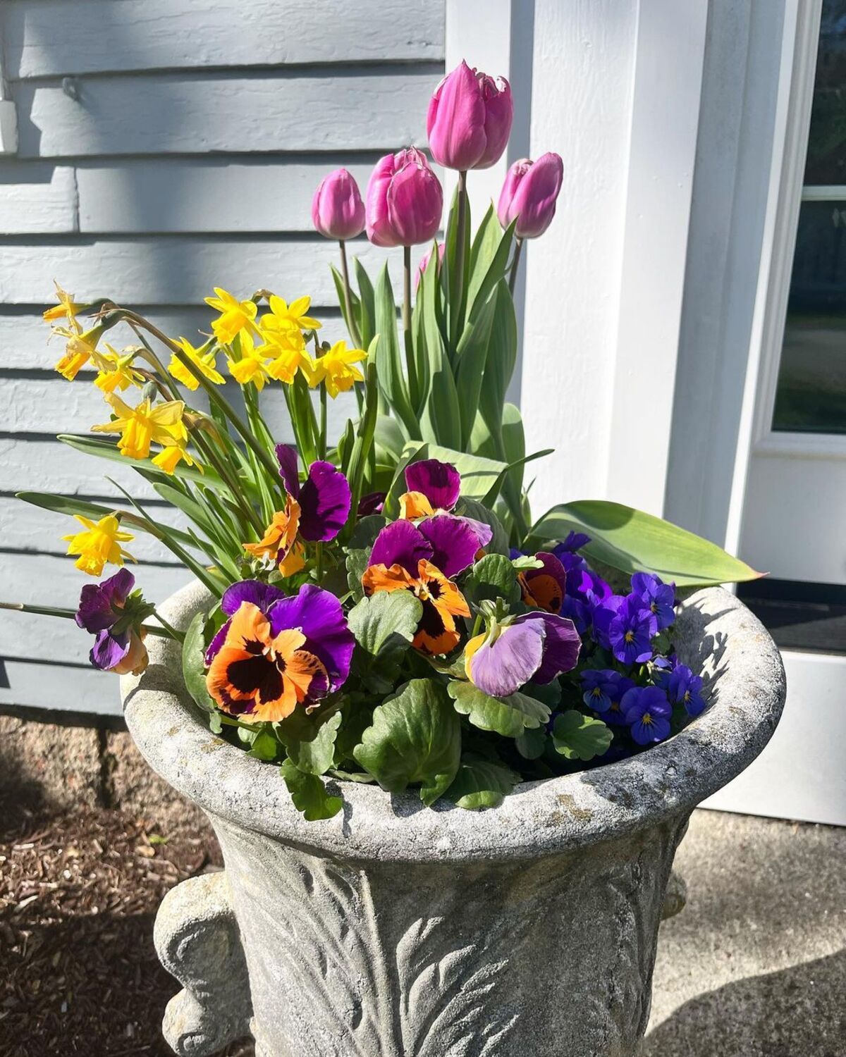 24 spring planter ideas 13