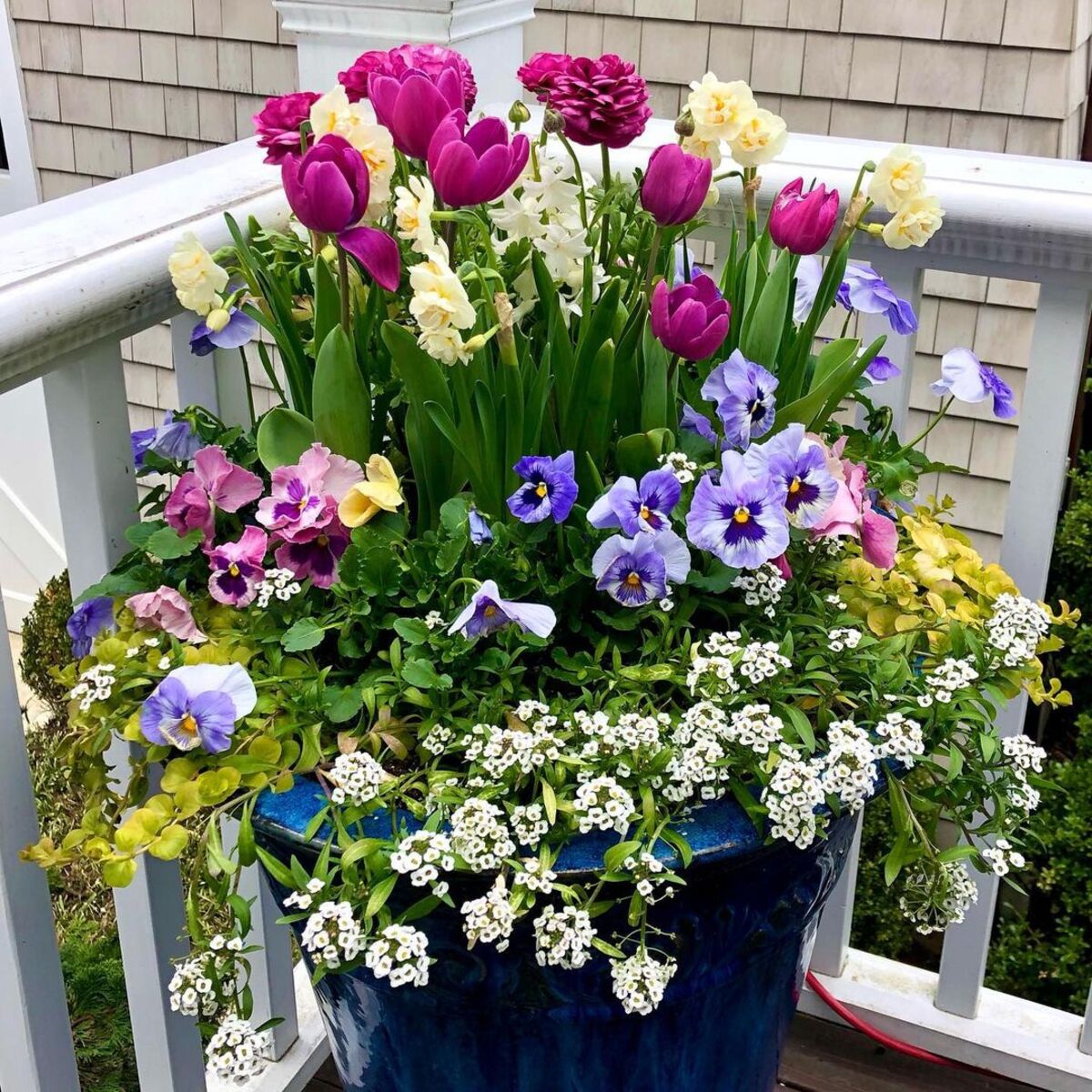 24 spring planter ideas 15