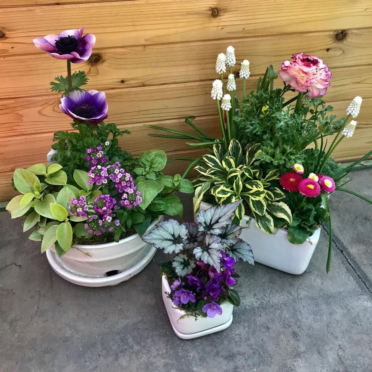 24 spring planter ideas 20