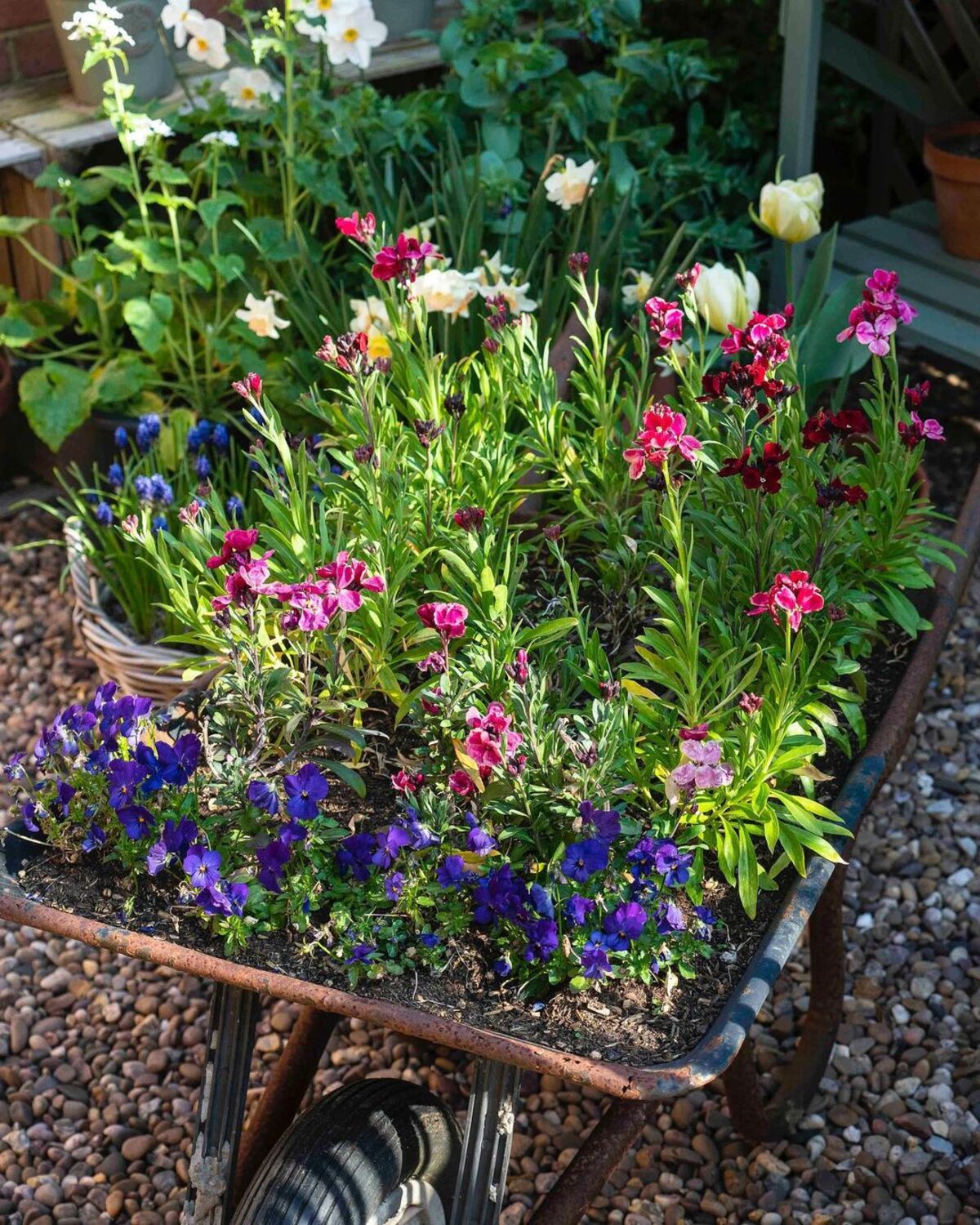 24 spring planter ideas 21