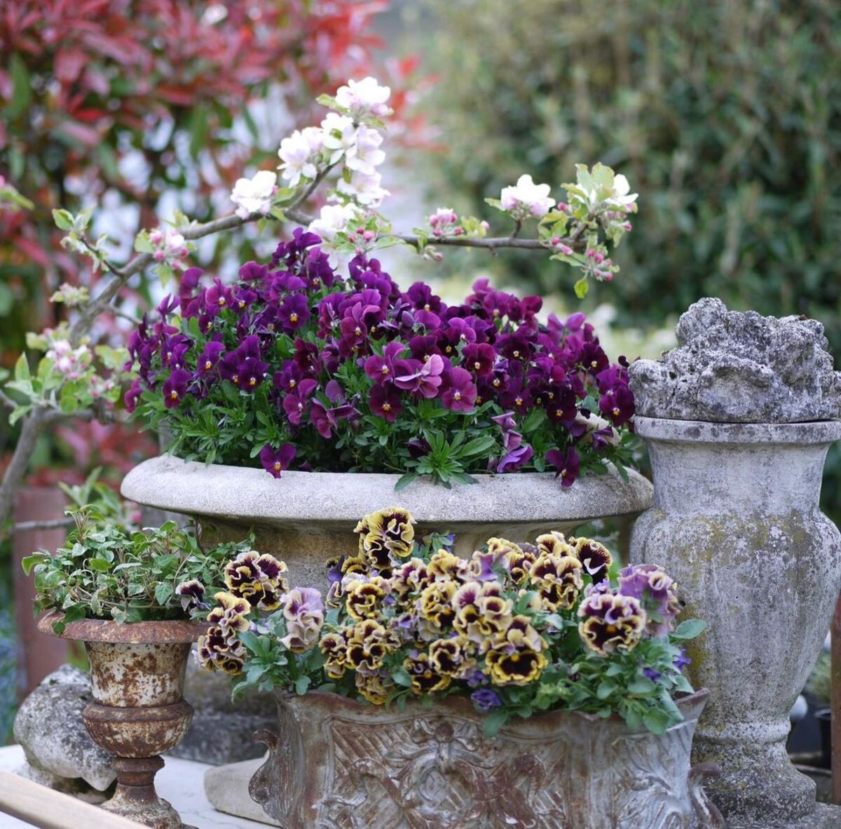 24 spring planter ideas 23