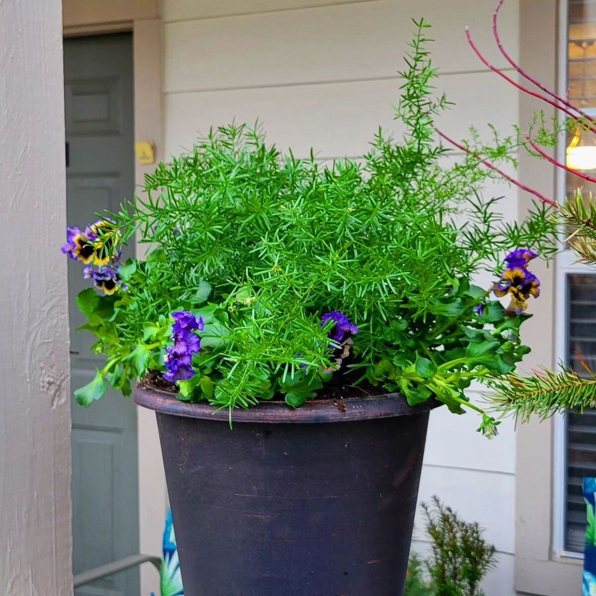 24 spring planter ideas 4