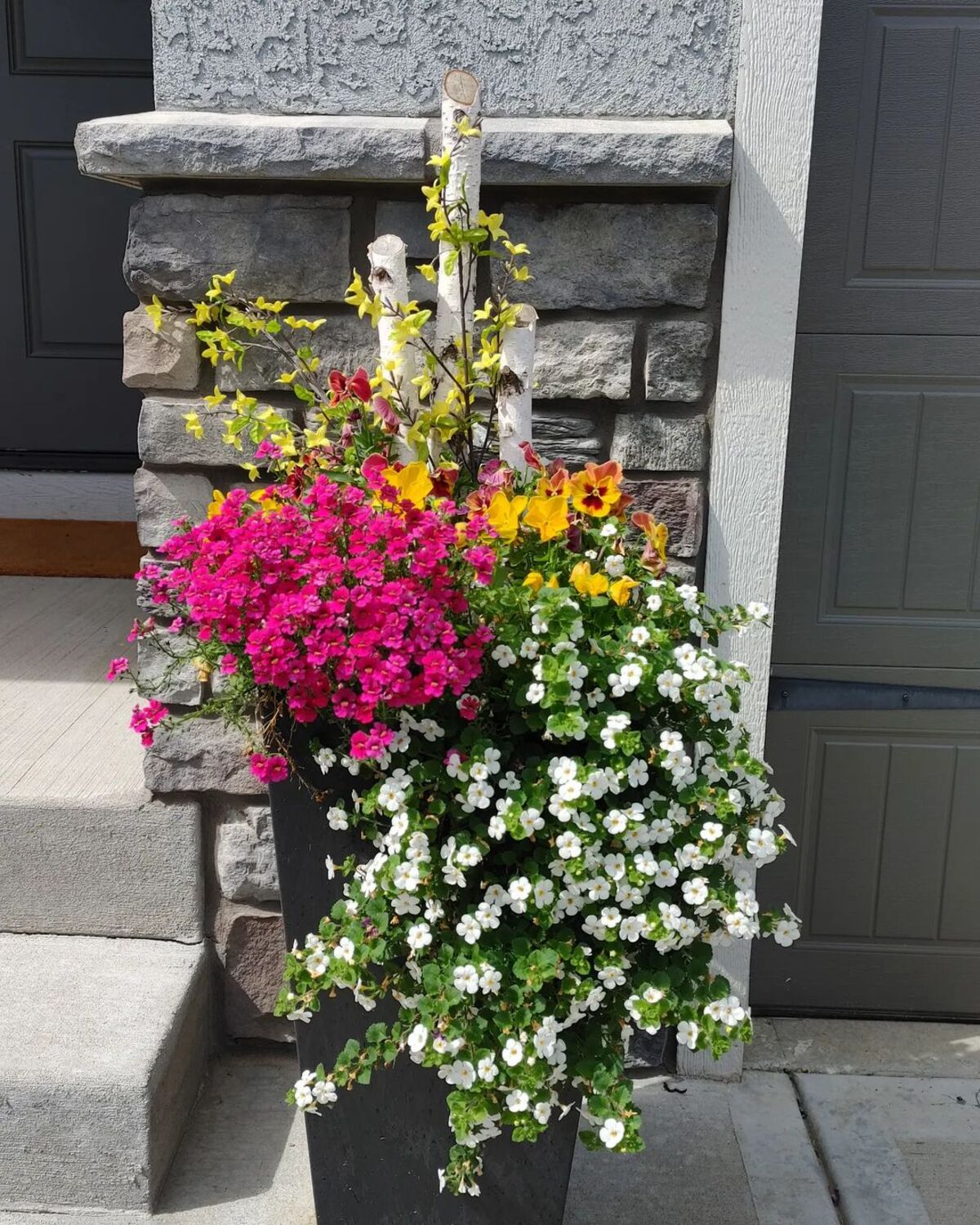 24 spring planter ideas 9