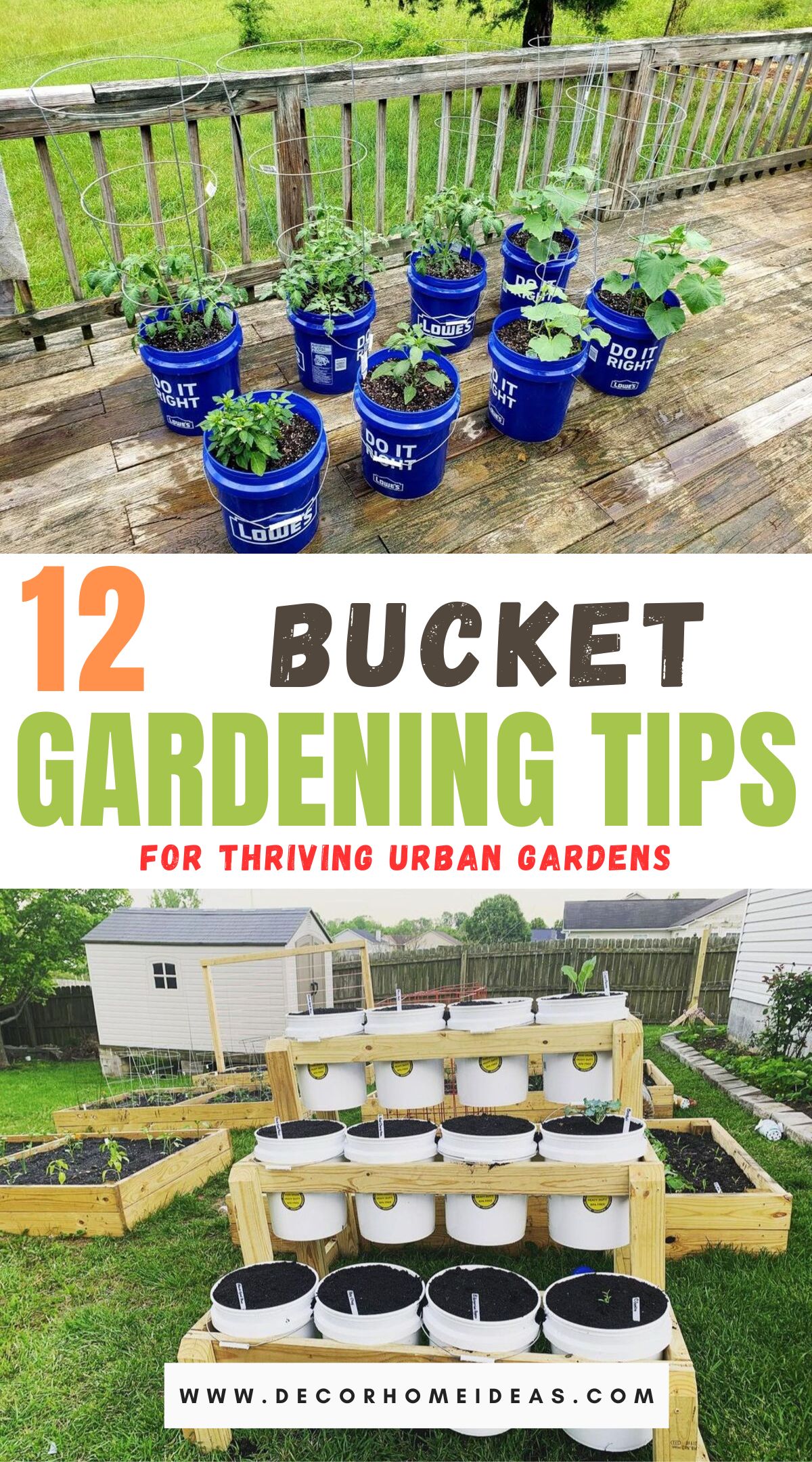 Best Bucket Gardening Ideas