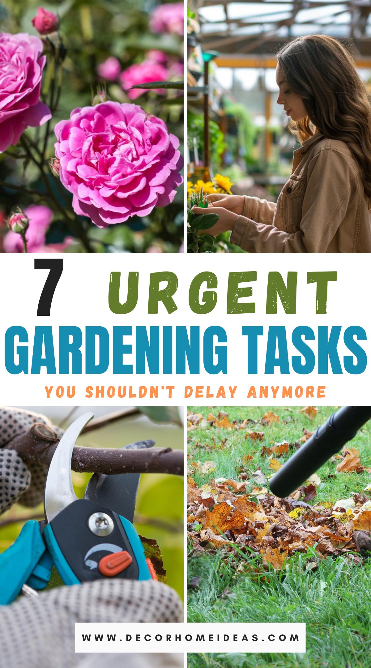 Prepare for a flourishing garden with these 7 essential spring gardening tasks. From soil preparation to plant care, discover must-do activities that set the stage for a bountiful and vibrant garden throughout the season, ensuring your outdoor space thrives with beauty and abundance.
