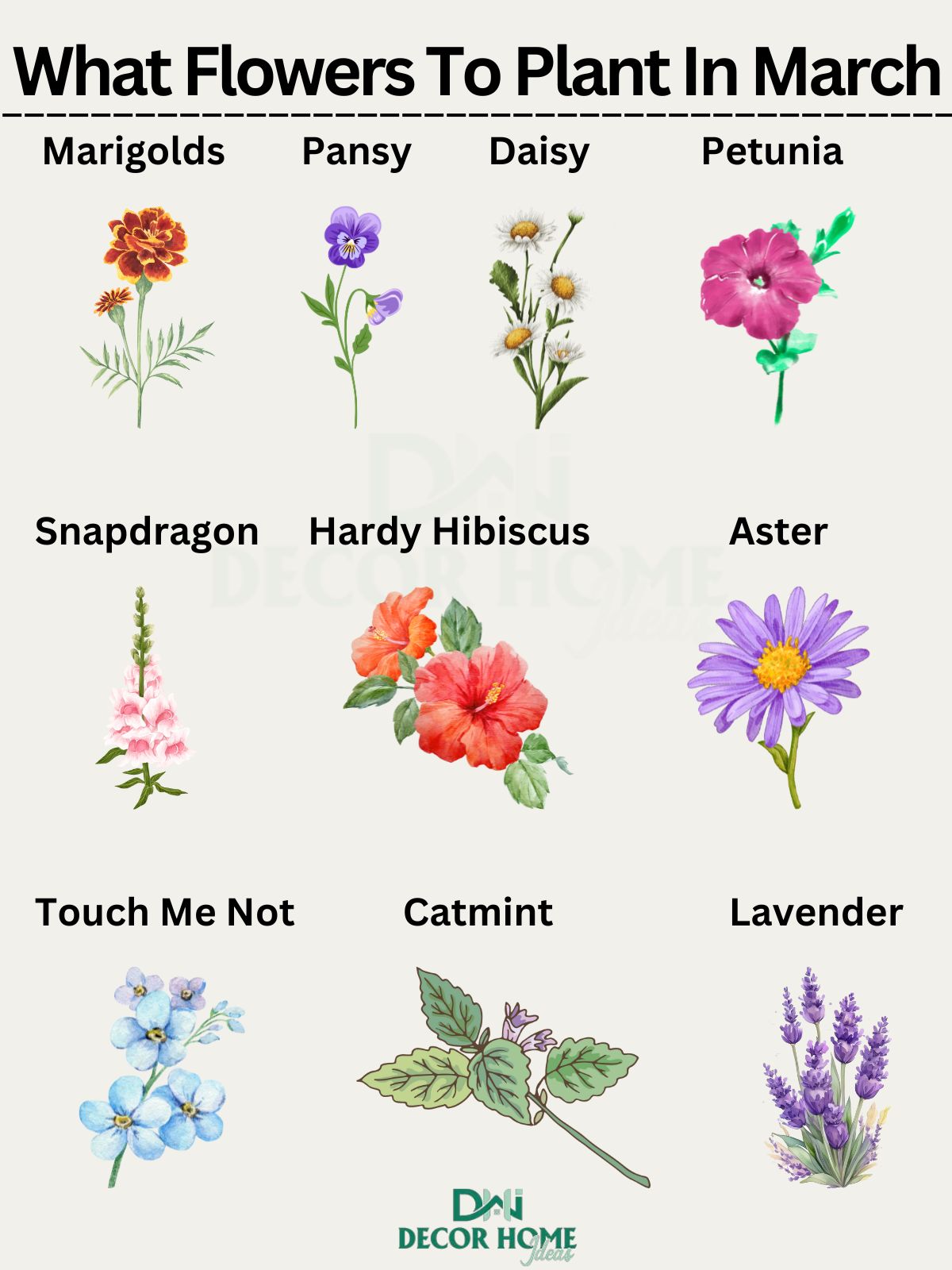 What To Plant In March